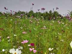 -美味居(古城店)