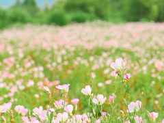 -良渚古城遗址公园