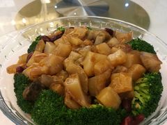 红腰豆扣海参-松雅轩商务婚礼生日(同和店)
