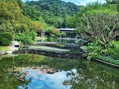 -云溪植物园