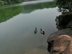 -白马涧龙池景区