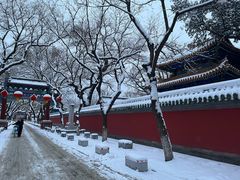 -北京国子监胡同