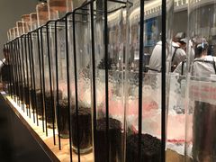 -喜茶(上海打浦桥日月光gelato lab+店)