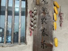 -老鲍农家乐