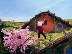 -武汉紫薇都市田园