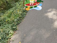 -黑龙江省森林植物园