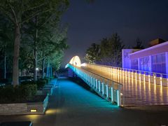 -大兴滨河森林公园