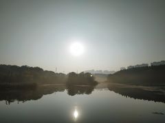 -昆山城市生态森林公园