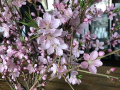 -北京山里寒舍度假酒店