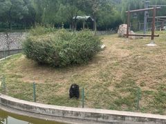 -石家庄市动物园