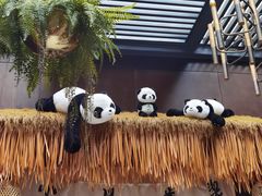 -了凡国风主题茶馆·咖啡(武侯祠锦里店)