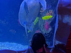 -太平洋海底世界博览馆·展览厅