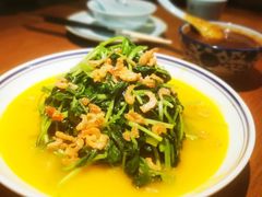 麻叶鸡毛菜-醉长安(南门总店)