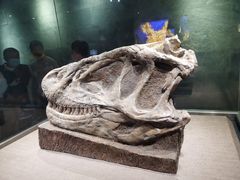 -自贡恐龙博物馆