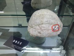 -中国第四纪冰川遗迹陈列馆