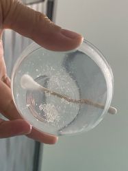 点击看大图 体验后-佰草博士·专业祛痘祛斑培训
