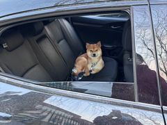 -正清和·推拿养生(二七广场店)