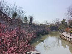 -朴园