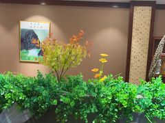 -菌之家·专业纯野生菌火锅·特色炒菌