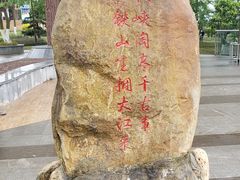 -铁山坪森林公园