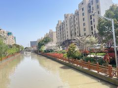 -高东镇樱花园