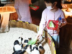 -上海虹桥中心爱琴海亚朵S酒店