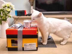 -熊猫不走蛋糕（同城送）(长沙店)