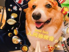 -极客修手机维修·电脑维修·家电维修清洗(珠江路店)