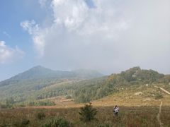 -白草畔自然风景区