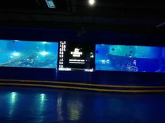 -重庆欢乐海底世界
