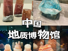 -中国地质博物馆