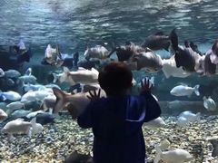 -成都浩海立方海洋公园