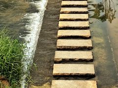 -光明小镇欢乐田园