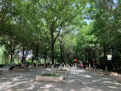 -西安汉城湖景区