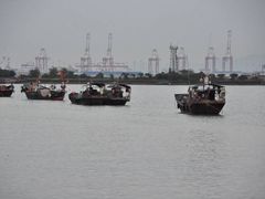 -大湾区中央湿地公园-十九涌