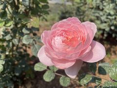 -人民公园(罗湖区)