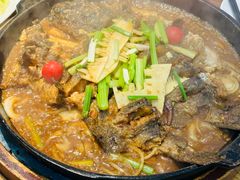 -老板恋上鱼(印象城店)