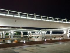 -演武大桥观景平台