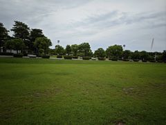 -深圳湾公园(南山区)