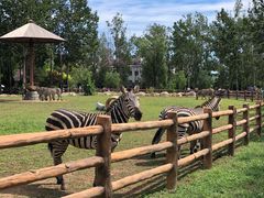 -大连森林动物园