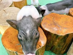 -藦茜花园宠物主题亲子互动体验馆(国顺东路店)