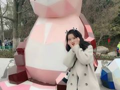 门面-成都大熊猫繁育研究基地