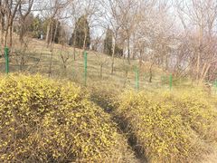 -南翠屏公园