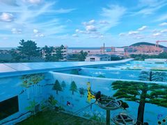 -西霞口神雕山野生动物世界