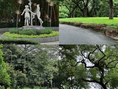 -晓港公园