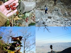 -大觉寺-停车场