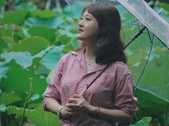 -陈家山荷花公园