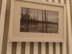 -瑞尔齿科(上海长风大悦城店)