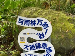 -呀诺达热带雨林