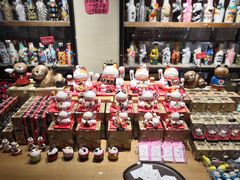 -猫咪博物馆(顶澳仔猫街店)